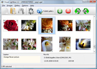example of photogallery with popupwindow 